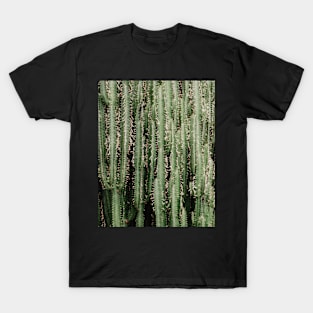 Cacti, Green, Modern art, Wall art, Print, Minimalistic, Modern, Scandinavian print T-Shirt